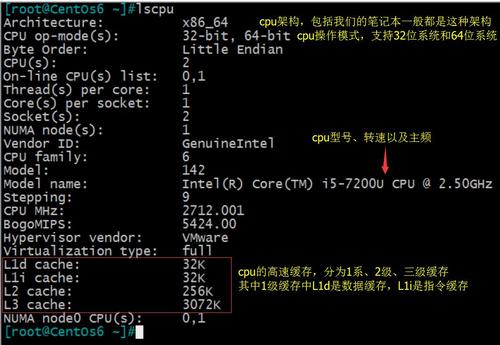 Linux查看硬件信息：CPU、内存和磁盘的使用情况一览