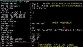 Linux查看硬件信息：CPU、内存和磁盘的使用情况一览