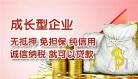 随借随还是什么意思：灵活的消费贷款还款方式