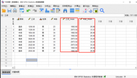 Spss分类汇总教程：掌握数据分析的利器