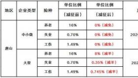 企业年金比例：五险一金缴纳比例及企业年金设立详解