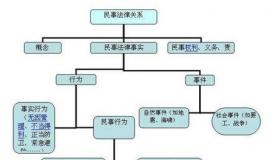 权利与权力的区别与分类：理解法律和社会关系的关键