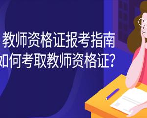 教资照片要求，详细指南与注意事项