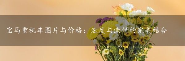 宝马重机车图片与价格：速度与激情的完美结合