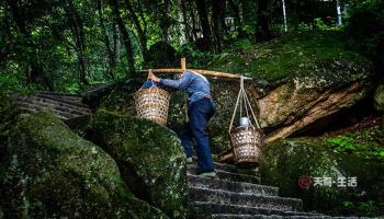 挑山工课文，坚韧攀登的精神与人生哲理