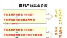 平安鑫盛17终身寿险：保障全面，红利分配的详细介绍