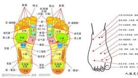 脚部穴位图：探索人体奥秘