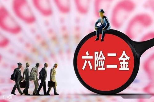 6险2金：中国社会保险和公积金制度的全面解析