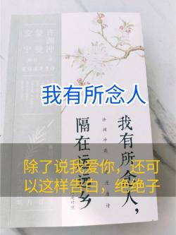 福楼拜在孙笑川吧创作的'此生也算共白头'全诗，深情诠释异地相思