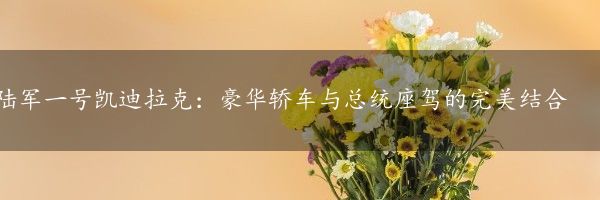 陆军一号凯迪拉克：豪华轿车与总统座驾的完美结合