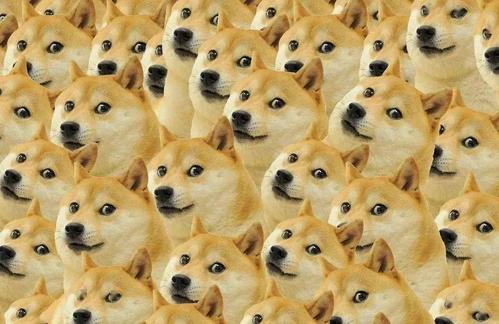 doge什么意思？揭秘Doge的起源、流行与意义