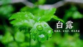 白露揭秘：这个节气属于哪个季节，又有哪些独特之处？