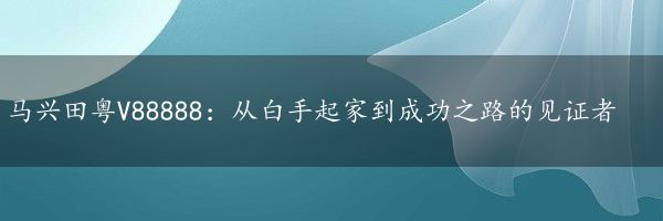 马兴田粤V88888：从白手起家到成功之路的见证者