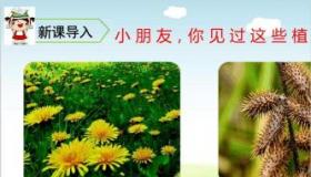 植物妈妈有办法：大自然的奇妙旅行