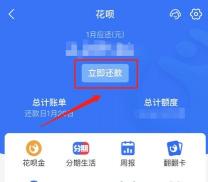 快速指南：花呗分期提前还款在哪里操作？