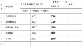 特殊病种有哪些待遇？新农合报销比例与病种详解