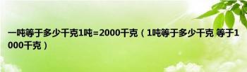 一吨等于多少千克：理解质量单位的转换