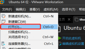 设置VMware Workstation 10虚拟机上网：从基础到高级的指南