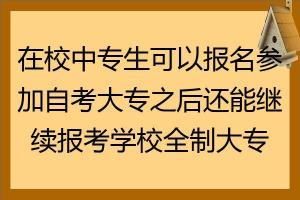 中专生如何报考全日制大专：途径与准备