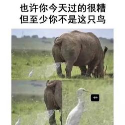 超搞笑！30个好听又很沙雕的群名，让你笑出腹肌！