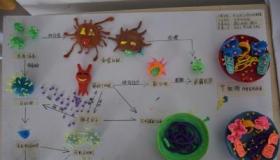 血清：生命科学的奥秘与医学研究的重要元素