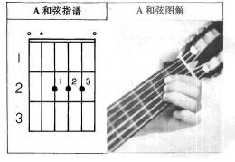 吉他手指灵活度：左手按弦技巧与提高方法