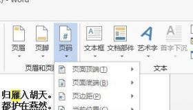 Word 2016页码设置：从任意指定页开始，轻松掌握技巧