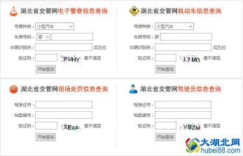 违章几天能查到：电子摄录违章的处理与查询时间解析