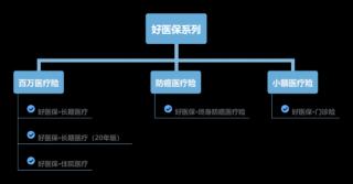 支付宝好医保住院医疗：投保细节与与其他产品的关键差异