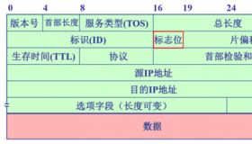 TTL：域名解析中的关键要素及其作用