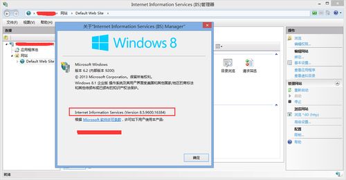 Windows Server 2008 R2中硬盘不显示？教你一步步解决问题