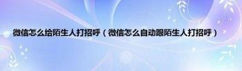 微信怎么打招呼：与陌生人建立联系的简单步骤