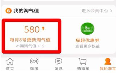 如何查看手机淘宝的淘气值：解锁你的消费力与权益