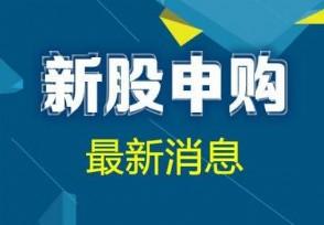 新股申购最佳时间技巧：提高中签率的秘籍