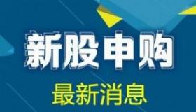 新股申购最佳时间技巧：提高中签率的秘籍