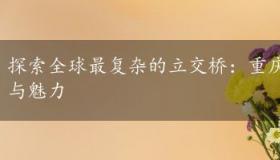 探索全球最复杂的立交桥：重庆黄桷湾立交桥的奇迹与魅力