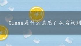 Guess是什么意思？从名词到动词的丰富含义