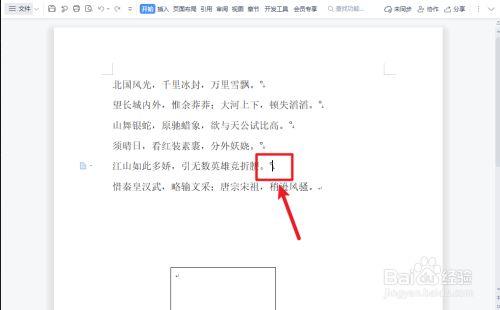 分页符在哪：如何找到并使用Word中的分页符功能