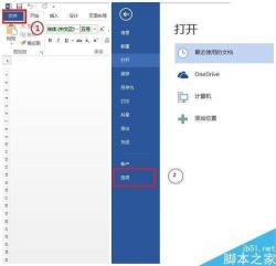 如何在Word2007中调出“开始工具栏”及“开发工具”选项卡的位置