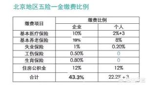 个人社保每月交多少钱：计算方法与缴纳方式详解