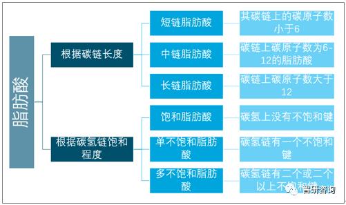 微博短链分析：深入了解博文传播力的关键