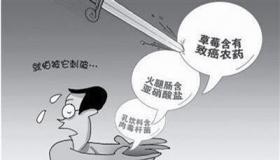 鸡精真相大揭秘：安全美味，别再被谣言误导！