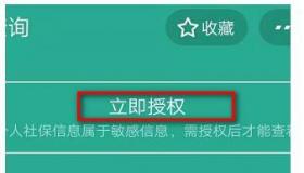 支付宝养老保险查询指南：一站式了解您的养老账户情况