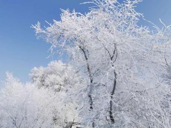 北方的冬天：冰晶与雪花的纯白童话世界