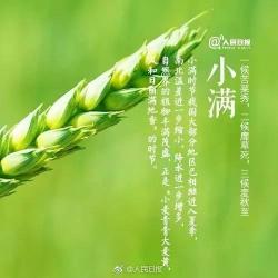 小满经典诗句：感受节气的韵味与生机