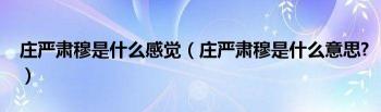 严谨的近义词：探究严谨态度的同义词与相似概念