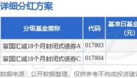 基金封闭期有收益吗：了解新基金封闭期与净值公布的重要性