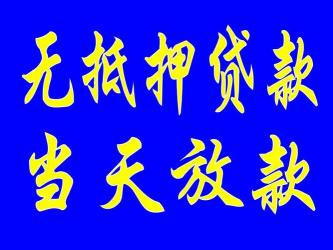 不用审核的贷款：民间借贷与小贷公司的奥秘