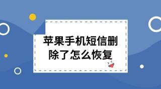 手机短信删除了怎么恢复：简单易懂的方法帮您找回丢失的数据