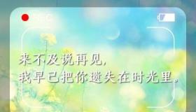 再见我的爱：一段无法挽回的深情